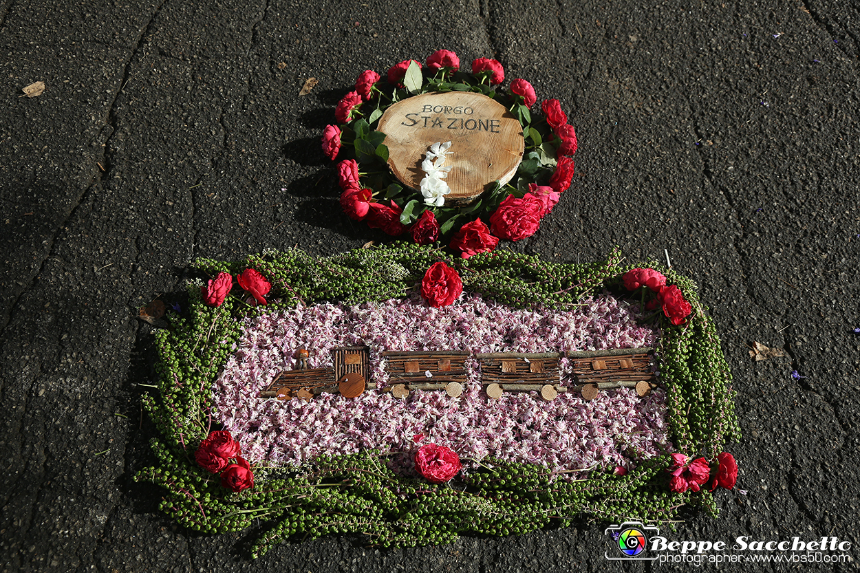 VBS_9583 - Infiorata di Villanova d'Asti 2023.jpg